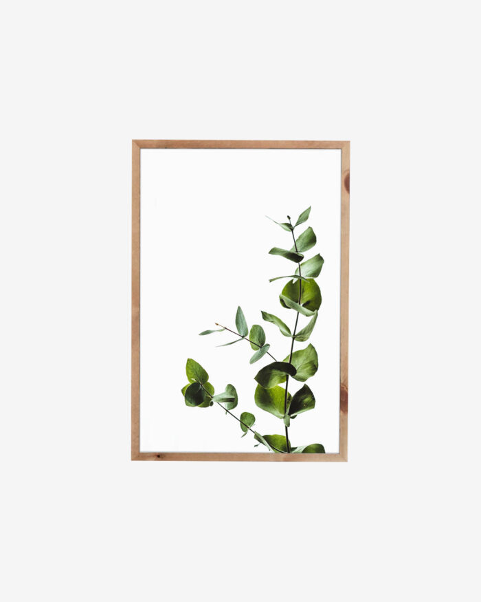 Framed Plant Artwork - Image 2