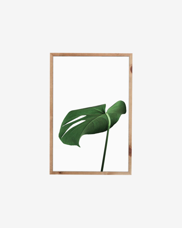 Framed Leaf Artwork